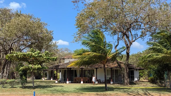 A single-story building with a tiled roof sits behind a grassy lawn surrounded by mature trees and palm trees under a bright blue sky.