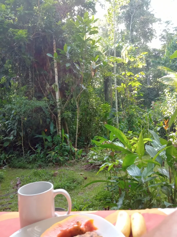 Studio in Puerto Viejo de Talamanca — 1 bedroom vacation rental in Puerto Viejo de Talamanca