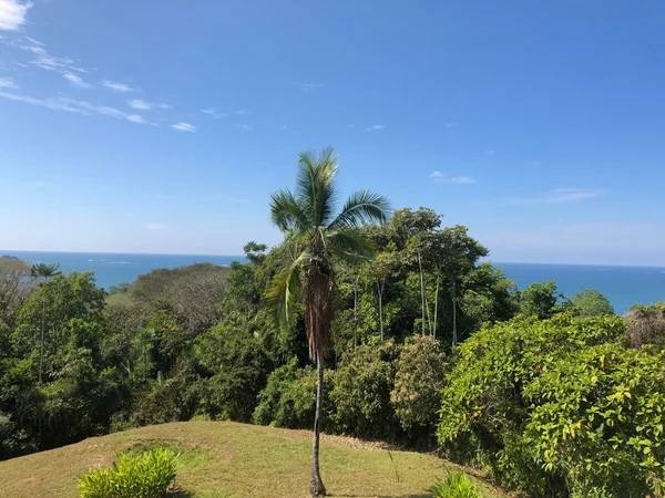 Casa Lutecia — 2 bedroom vacation rental in Uvita Beach