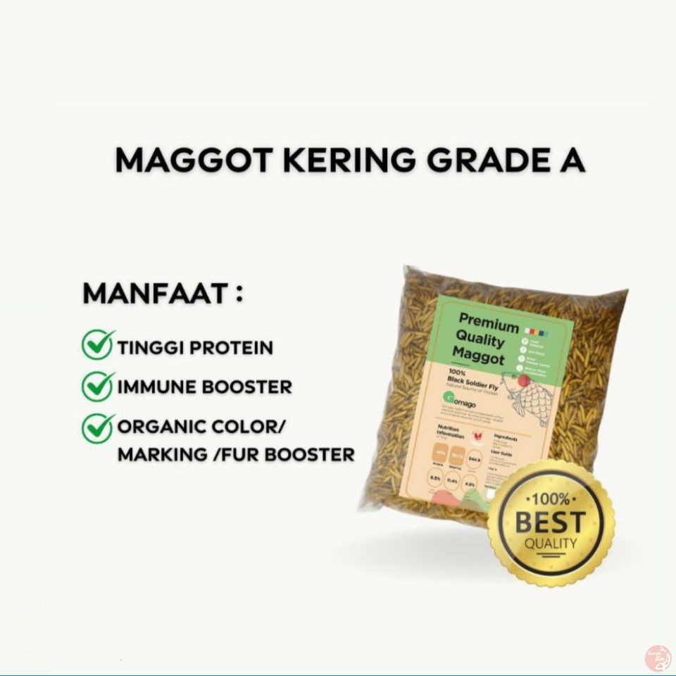 MAGGOT KERING 1KG