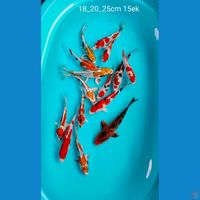 mantul 18_20_25cm 15ek