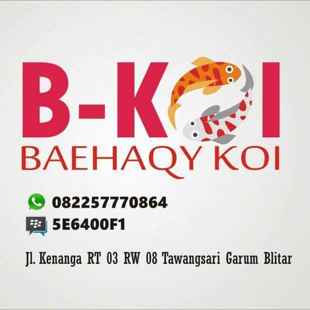 B-KOI