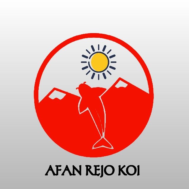 Afan Rejo Koi