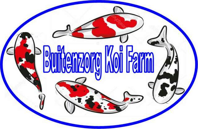 BUITENZORG KOI FARM