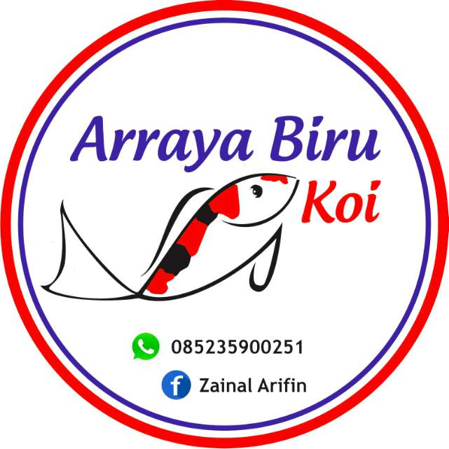 Arifin Arraya Biru ⭐