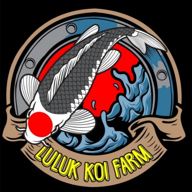 LULUK KOI 