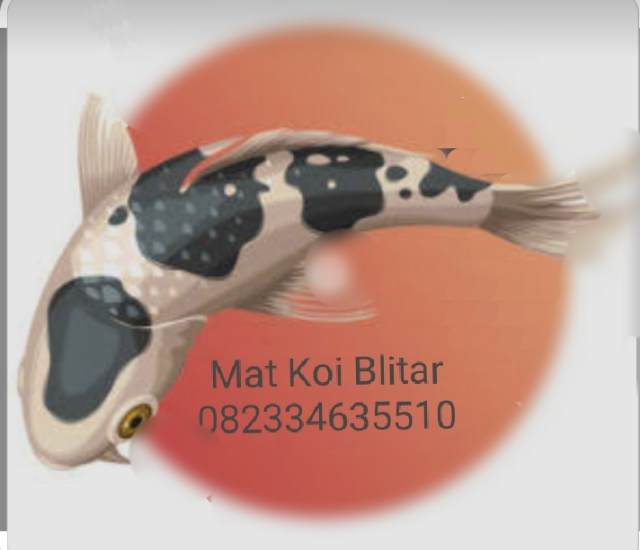 Mat koi