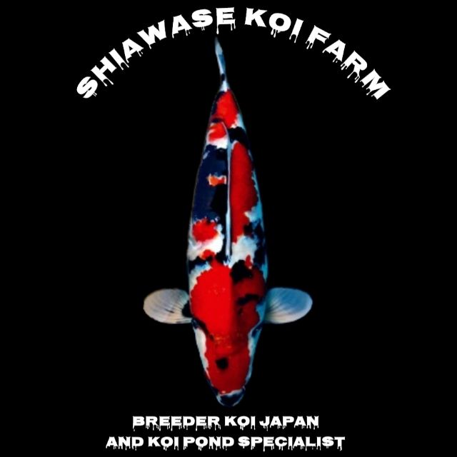 SHIAWASE KOI FARM