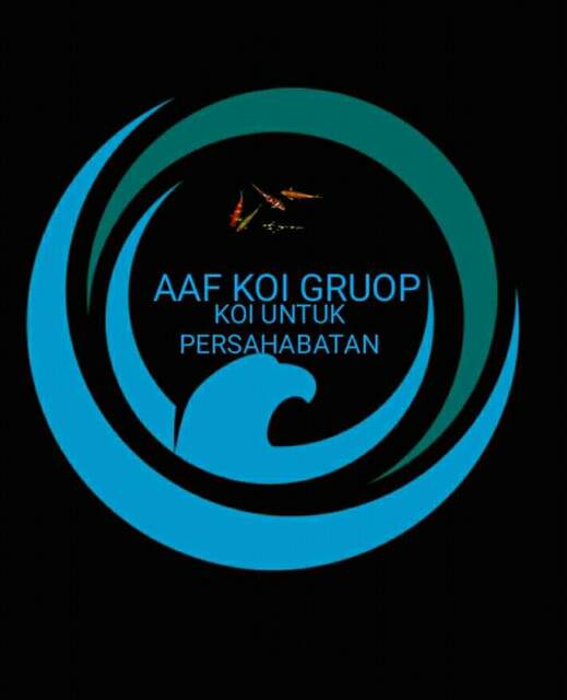 Aaf koi gruop