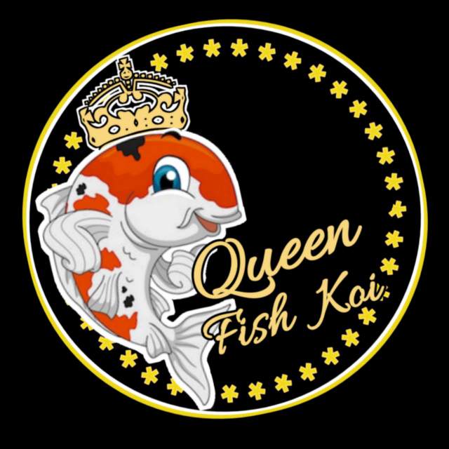 Queen fishkoi