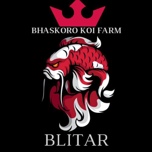 Bhaskoro koi