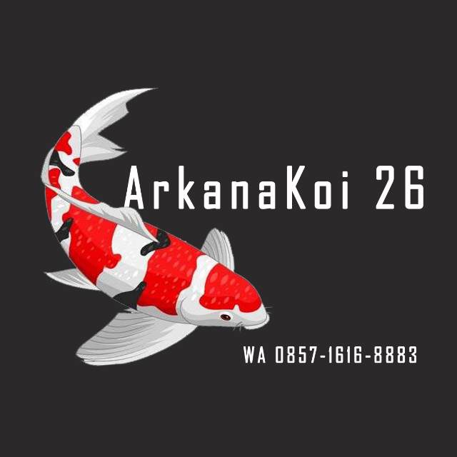 ARKANAKOI 26