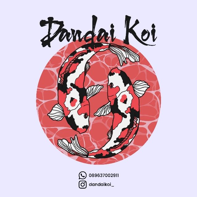 DanDai Koi