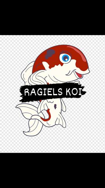 Ragiels koi