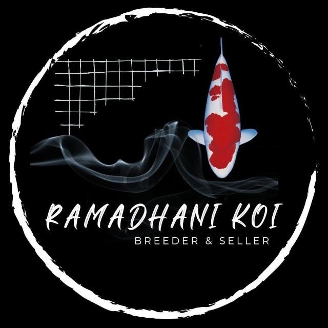 Ramadhani koi