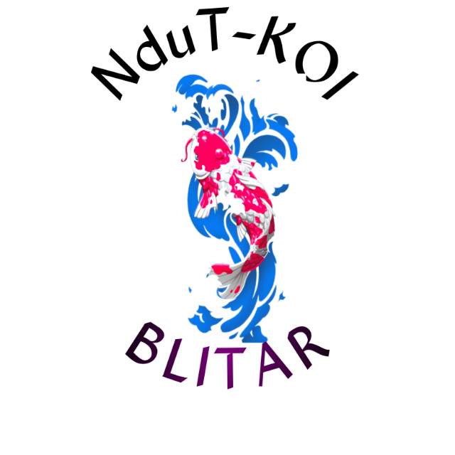 Ndut-koi-Blitar