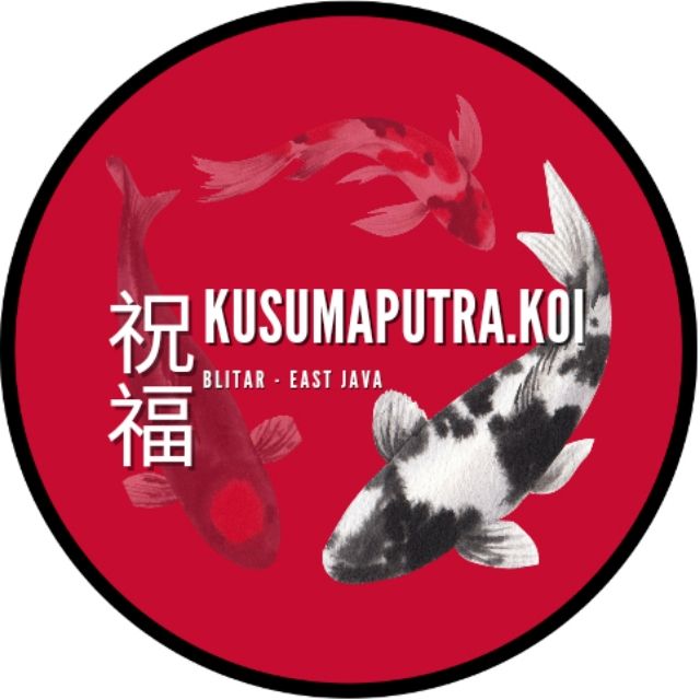 kusumaputra.koi