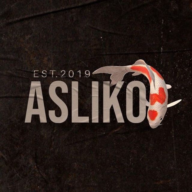 Aslikoi ™️