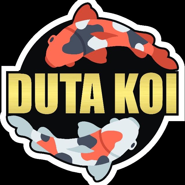 DUTA KOI