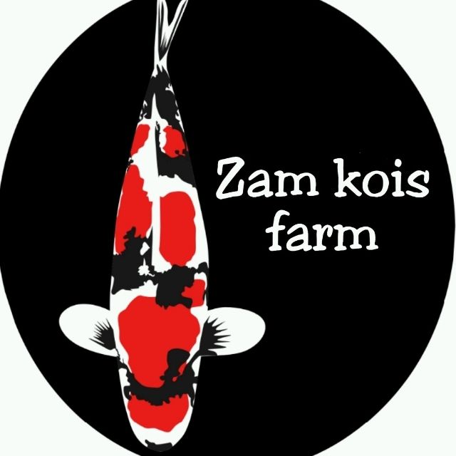 ZAM KOIS GROUP