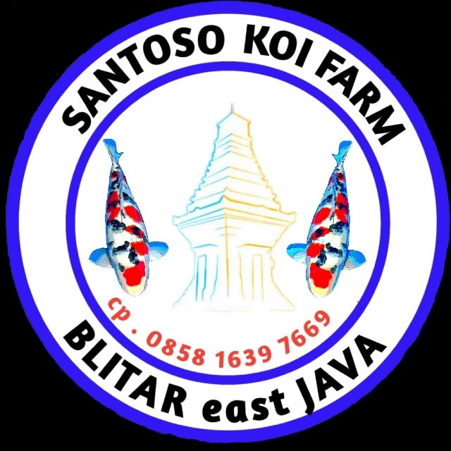 SANTOSO KOI BLITAR