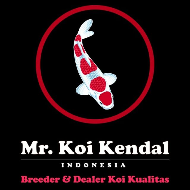 Mr. Koi