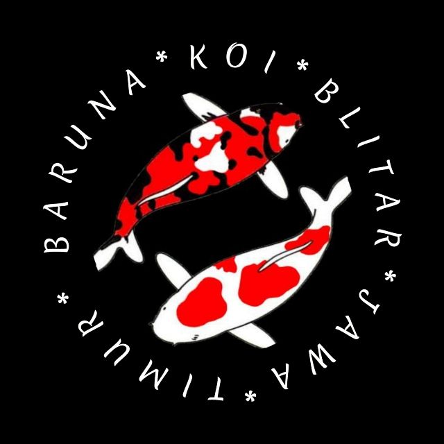 BARUNA KOI BLITAR