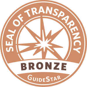 Bronze Seal of transparency