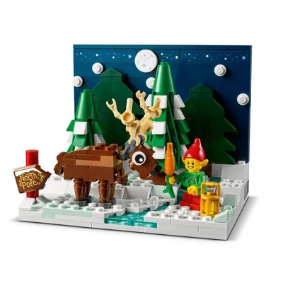 Lego® Seasonal 40484 Christmas Santa's Front Yard Set