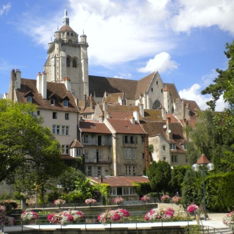 Cover photo of the city Dole