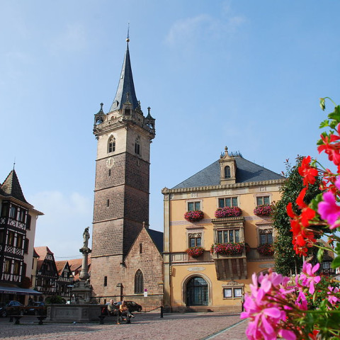 Photo de couverture de la ville de Obernai