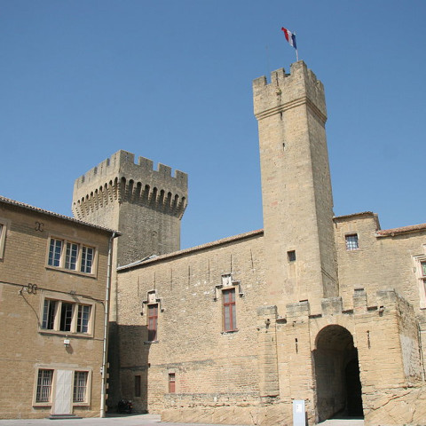 Cover photo of the city Salon-de-Provence