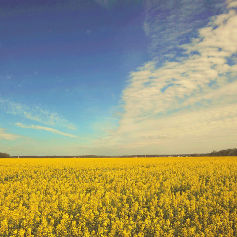 Photo de couverture de la ville de Vernouillet
