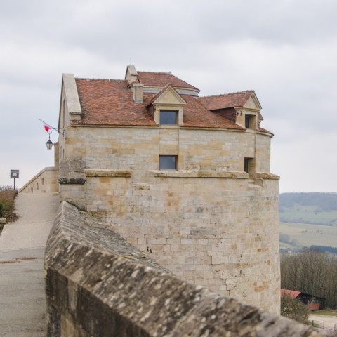 Cover photo of the city Langres