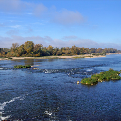 Cover photo of the city Cosne-Cours-sur-Loire