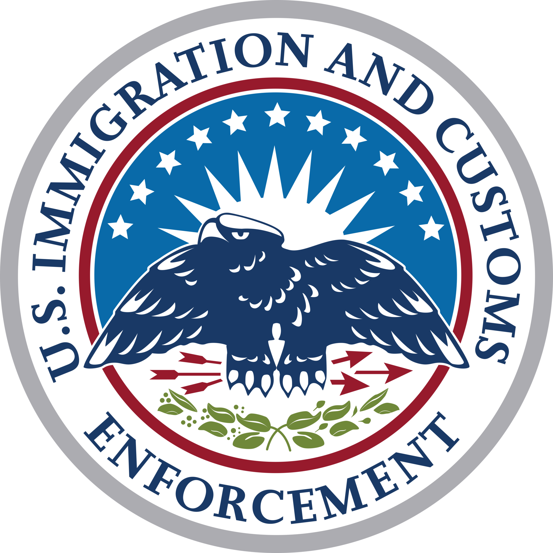 A Fatal ICE Stop in Houston: What We Know and What Remains in Dispute