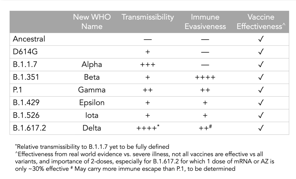 SARS-CoV-2 Reinfections In Recovered Patients Rare, One Year Out