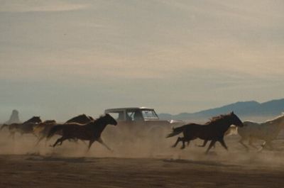 Bronco Legendary Performance