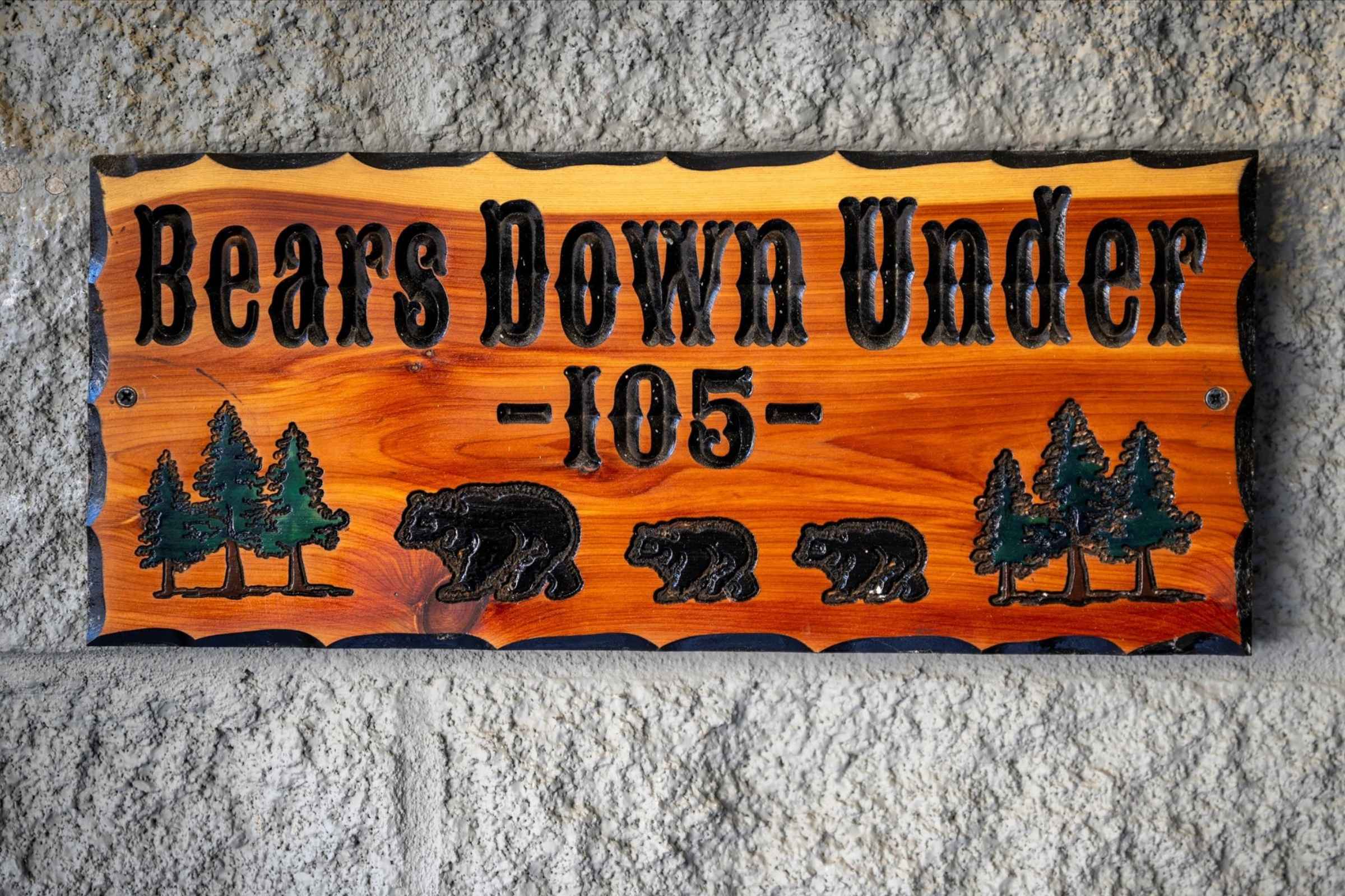 Bears Down Under 7