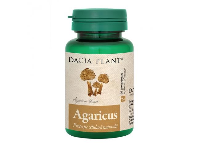 Agaricus 60cp - DACIA PLANT