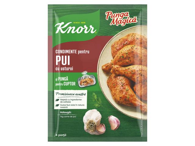 Knorr Punga Magica Friptura De Pui Cu Usturoi 28G