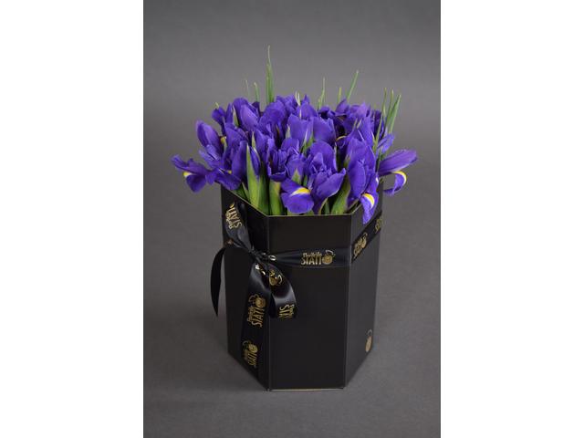 Irisi in hexagon  negru