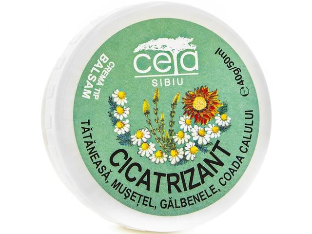 Unguent cicatrizant 40g - CETA SIBIU