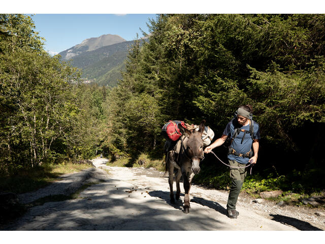 Bentiță din lână merinos Trekking MT500 Kaki Adulți