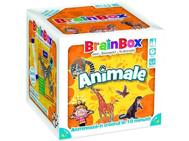 Brainbox  Animale