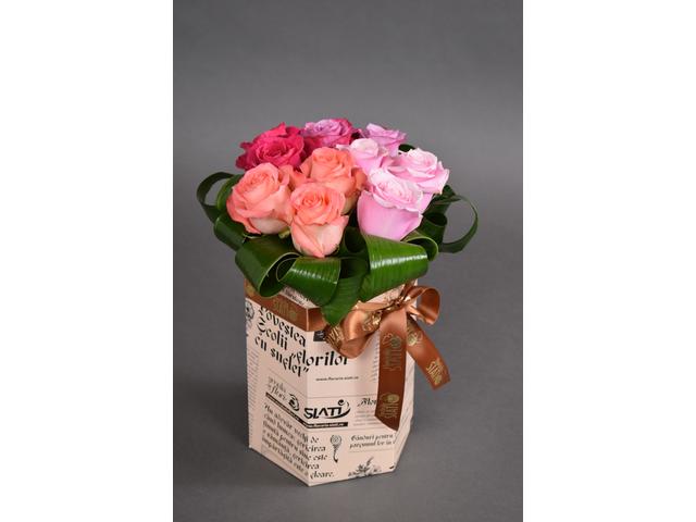 Mix trandafiri 3 hexagon print siati