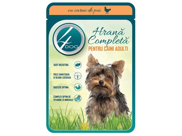 4DOG PLIC CAINE ADULT 100GR PUI/SOS