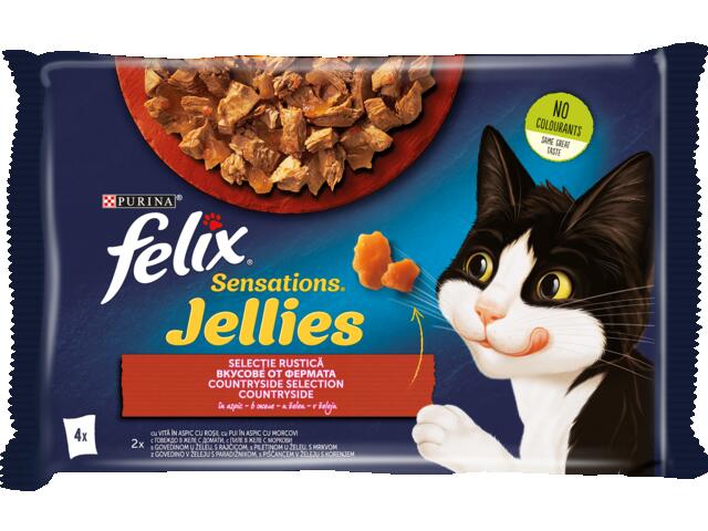 Felix Sensations Selectie Rustica hrana umeda pentru pisici, 4x100g