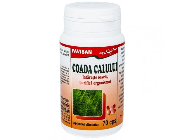 Coada calului 70cps - FAVISAN