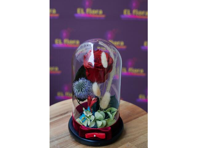 Cupola cu 1 trandafir criogenat